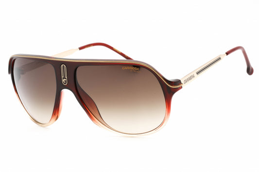 Carrera SAFARI65/N Burgundy/Brown