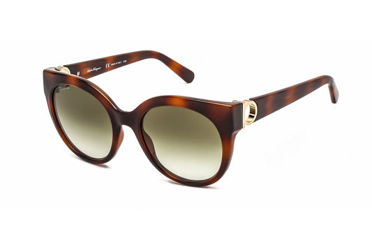 Salvatore Ferragamo SF1031S Tortoise/Green